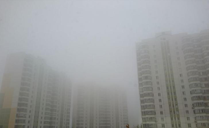    Фото "Курских известий"