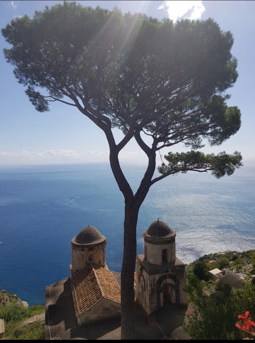 Сон про полет над полем, из рубрики "Сны о потустороннем"