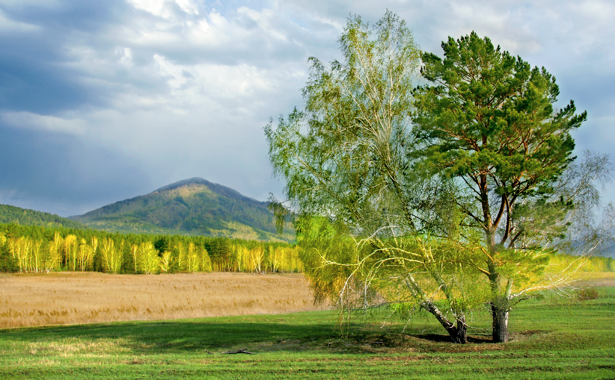 Фотография, стихотворение Василия Глуцкого