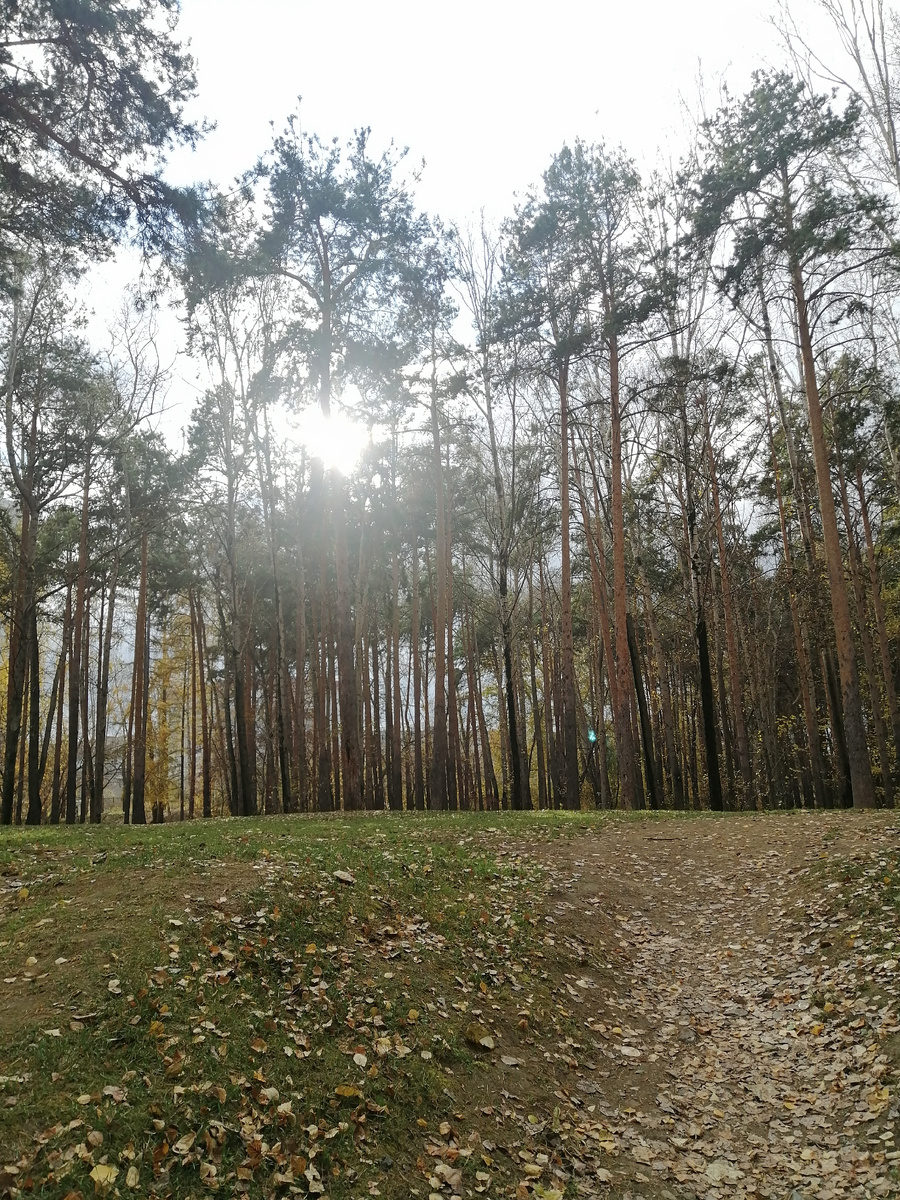 Личное фото. 