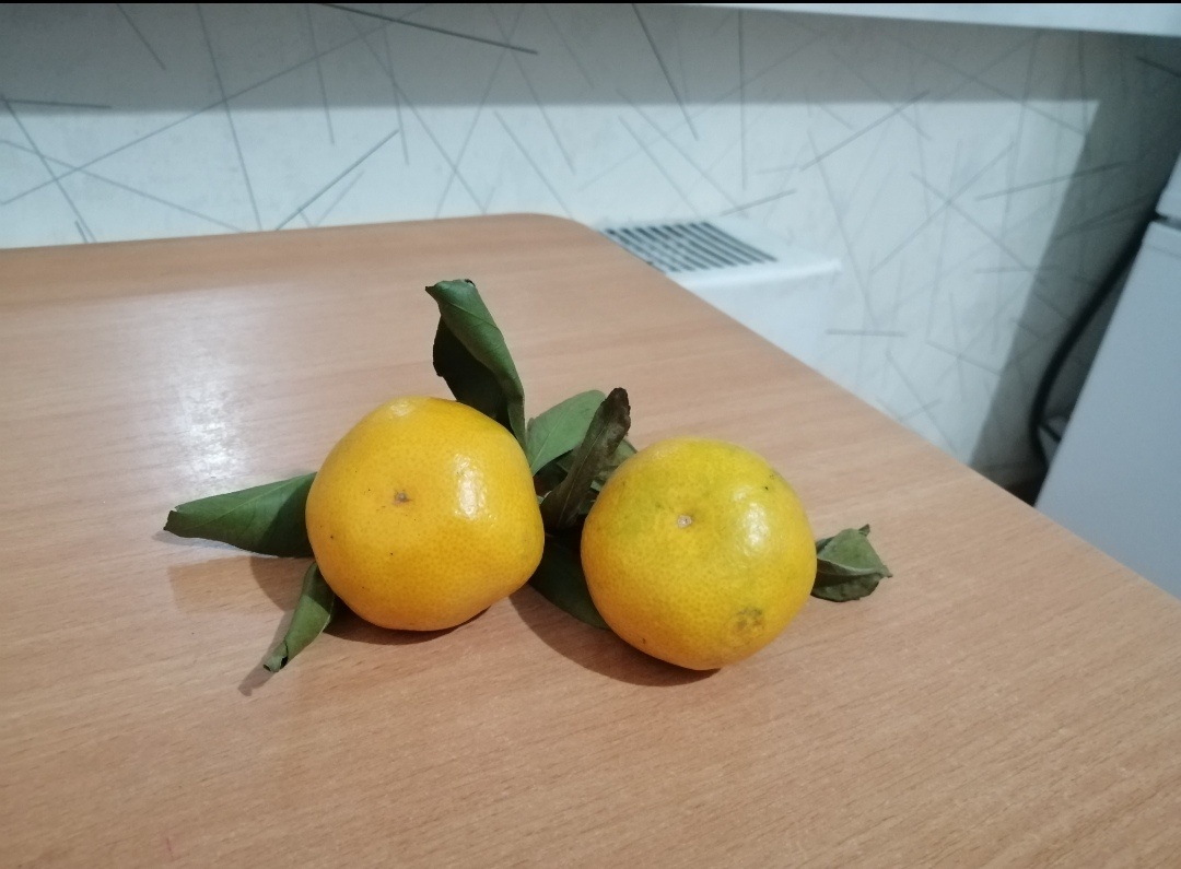 Вот такие у нас мандарины продают. 