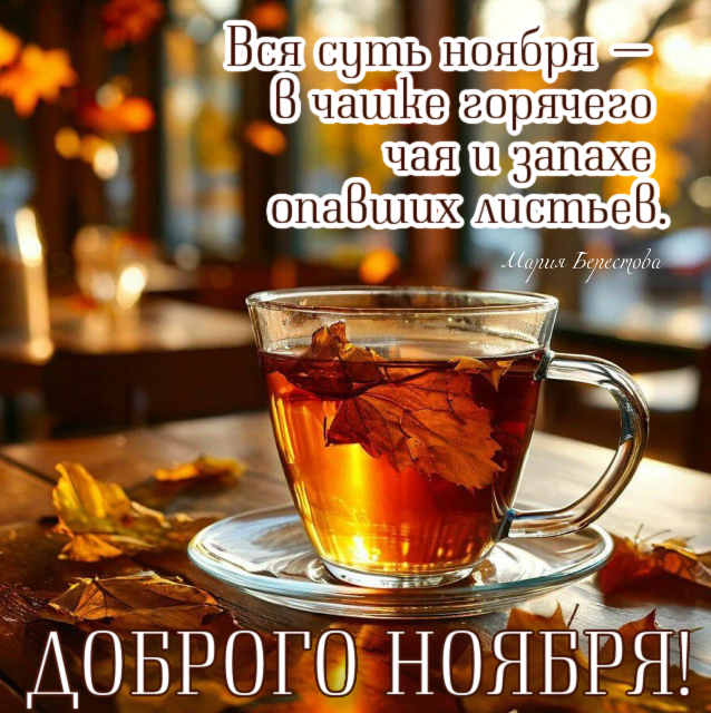 Вся суть ноября — в чаше горячего чая и запахе опавших листьев. Мария Берестова.