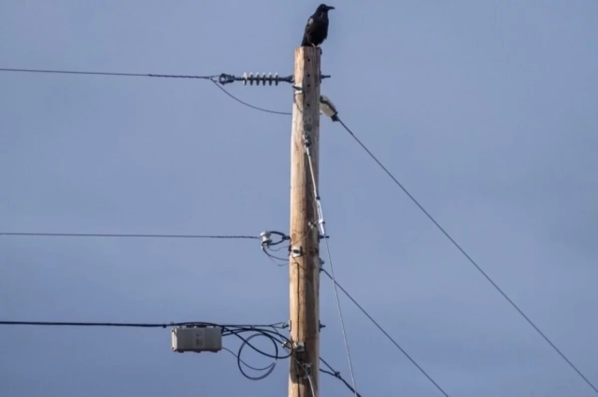    тсутствие электроэнергии привело к остановке водозабора