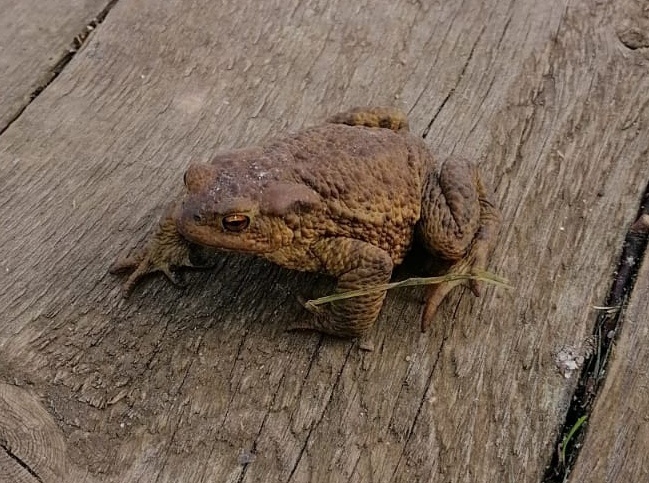 Фото супруга