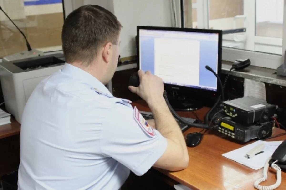    Всех, кому что-либо известно, просят звонить в полицию или волонтёрам.