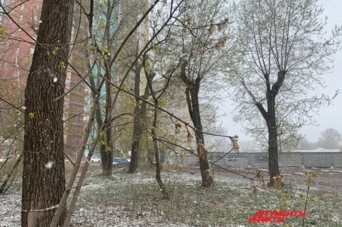    Синоптик Ильин: тепло вернется в Москву после 7 ноября