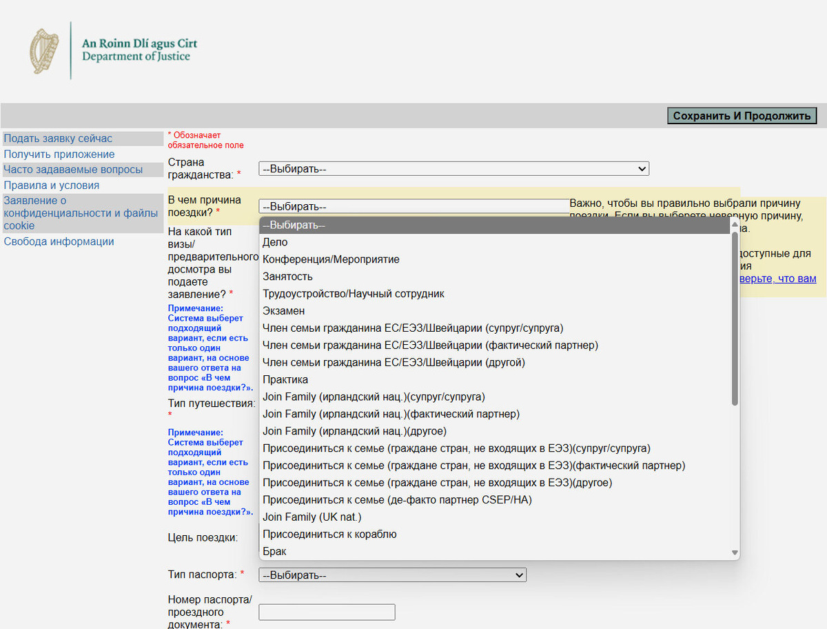 Обязательные поля отмечены красной звёздочкой. Скриншот: visas.inis.gov.ie