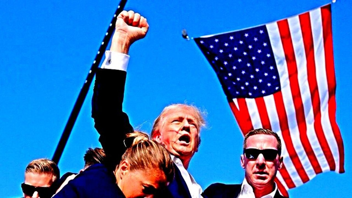 из свободных источников