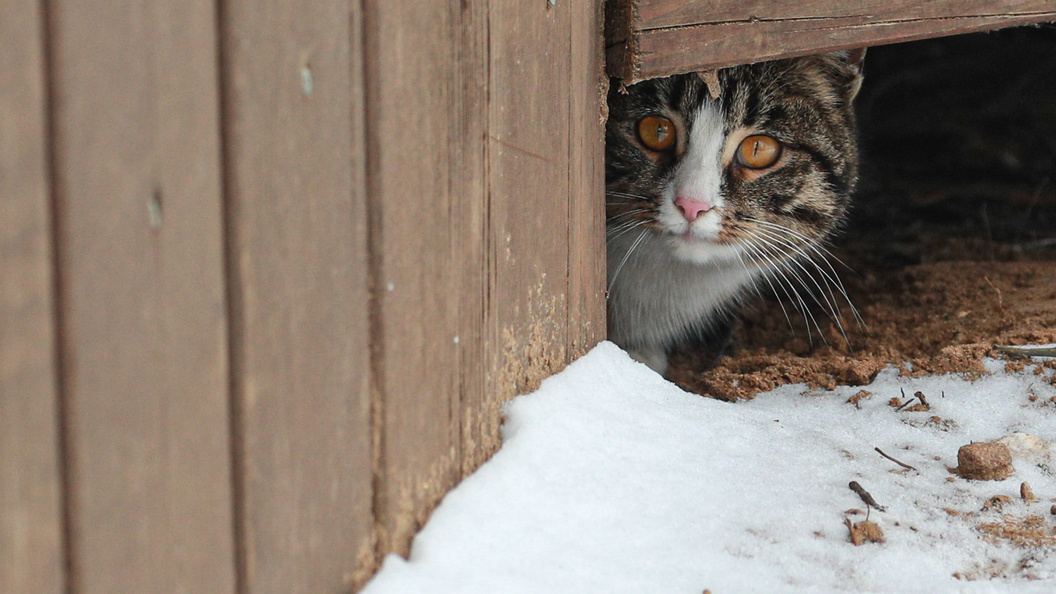    Bulkin Sergey/news.ru