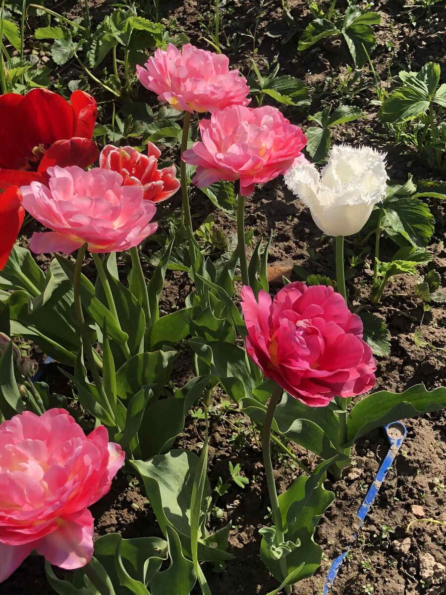 Листать галерею