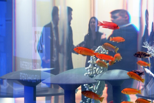 Фото: РИА Новости