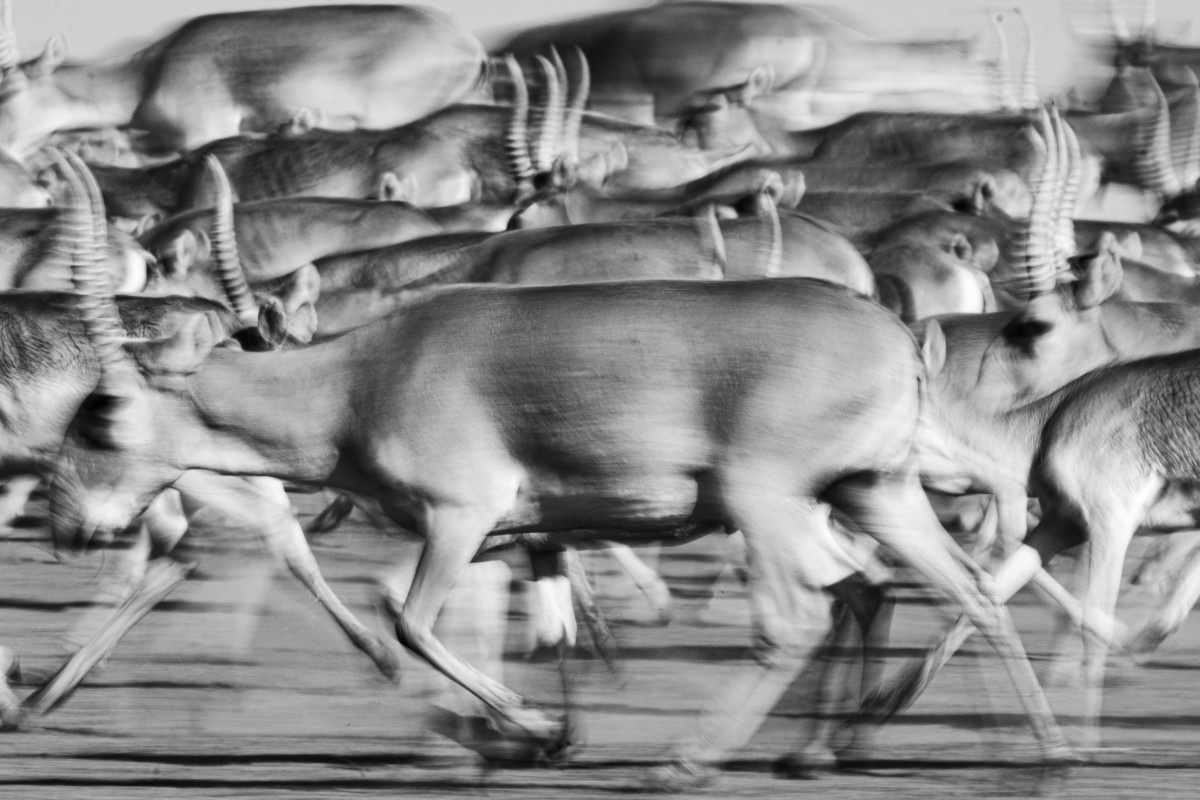 Фото: Павел Чеканов, участник конкурса РГО «Самая красивая страна»