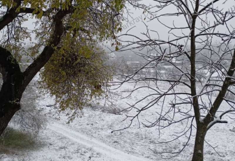    Фото: Telegram-канал Краснодар и край