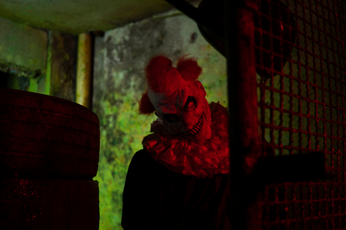 дизайн www.freepik.com