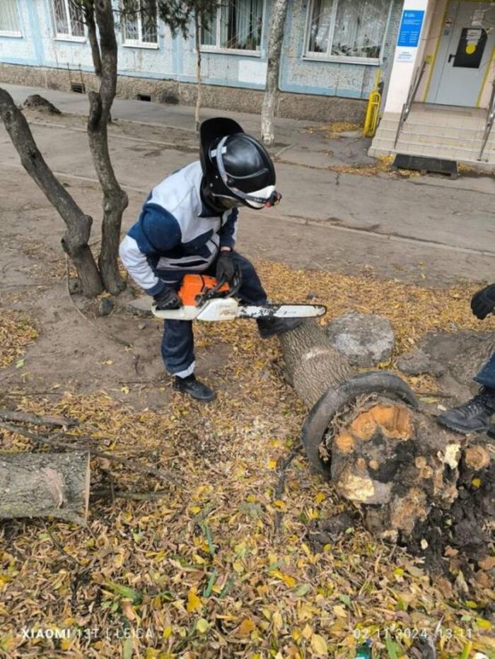 Источник фото: vk.com/logvinenko_rnd