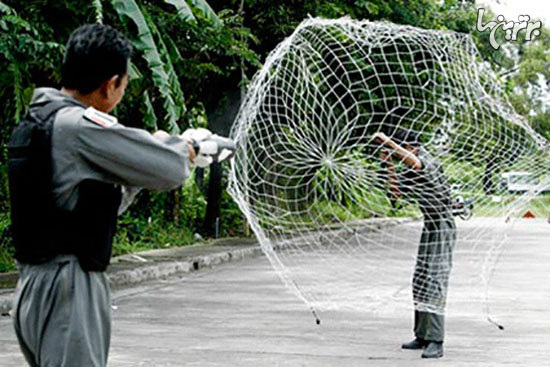 Фото из открытых источников.