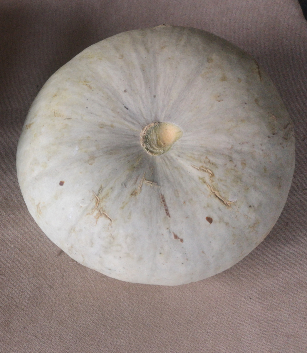 Просто тыква