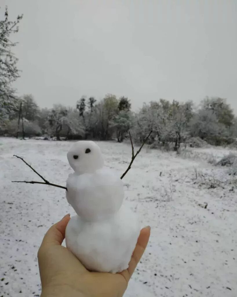 Ручной снеговик.