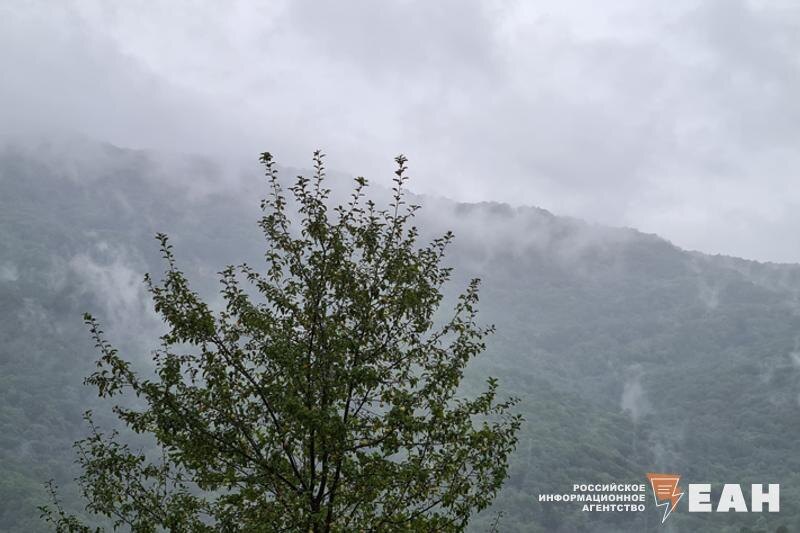    ЕАН / спасатели МЧС прогнозируют очень сильный ветер в ночь на 4 ноября