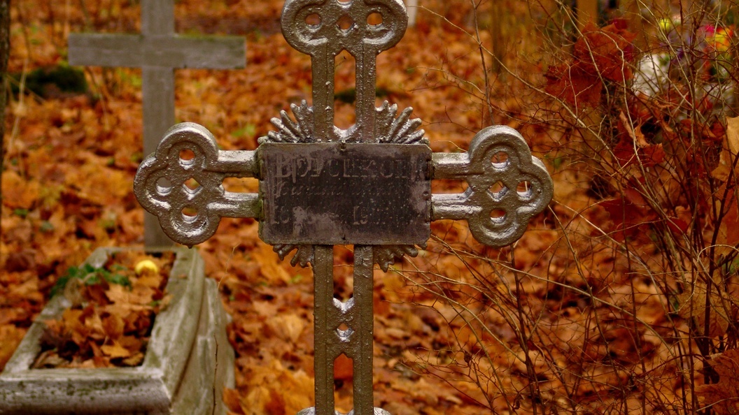    Konstantin Kokoshkin/Globallookpress