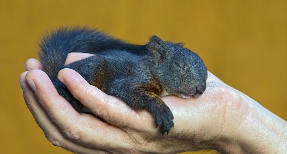    Adelheid Nothegger/imageBROKER.com / Global Look Press