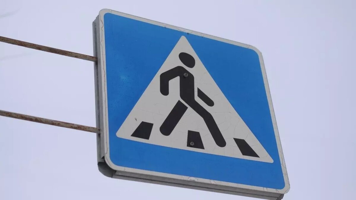     Источник: novostivolgograda.ru