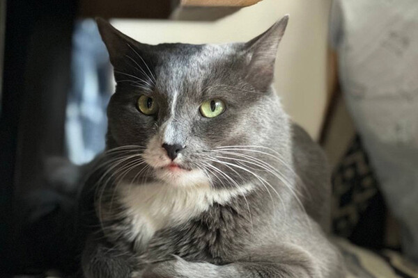 Василий Кучумов/VK 