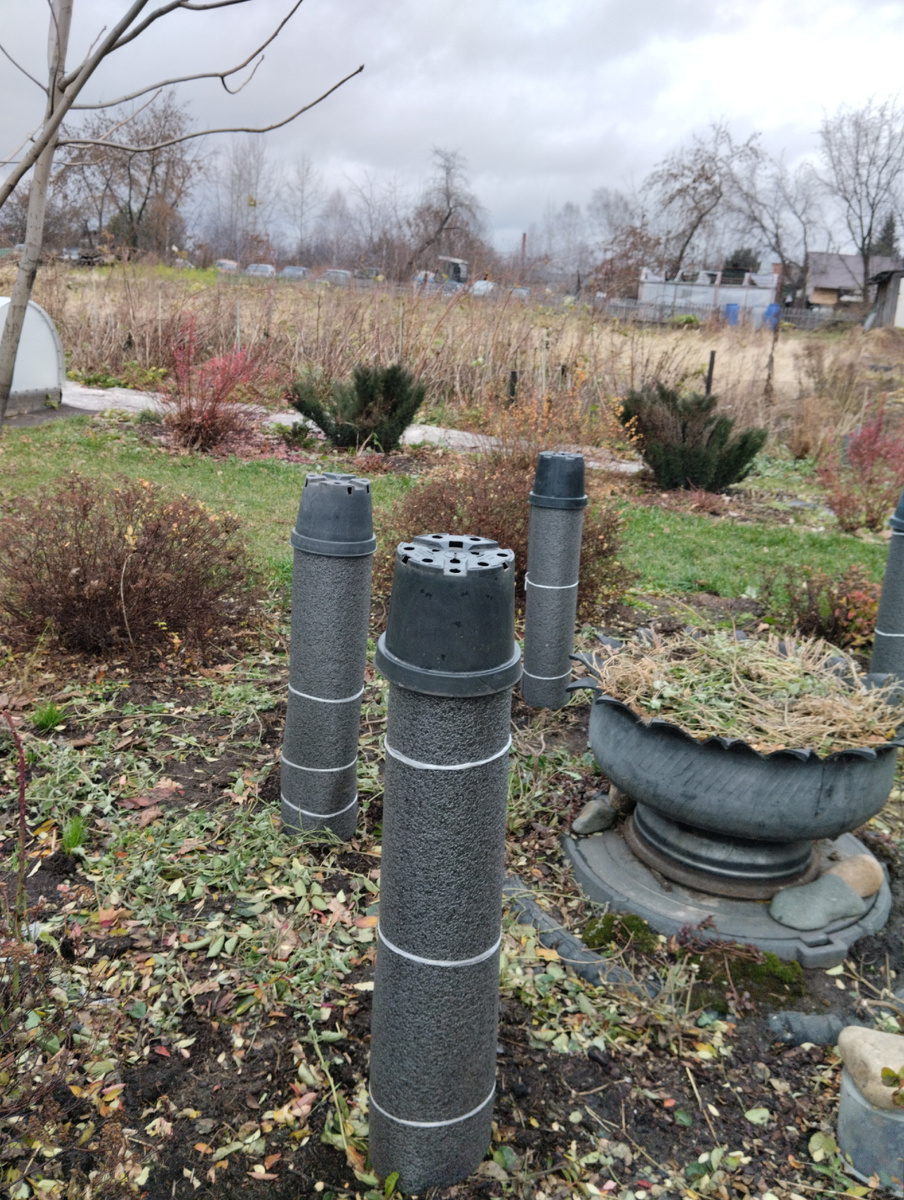 В таких термосах из труб (диаметром 110 мм.)  будут зимовать  Флорибунды  и чайно-гибридные Розы.