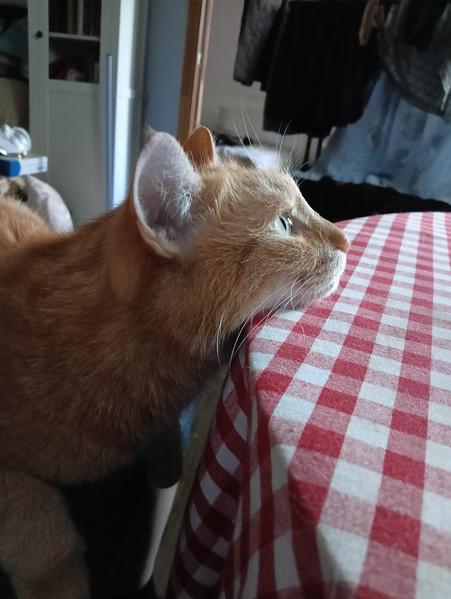 Василию хорошо и без кофе