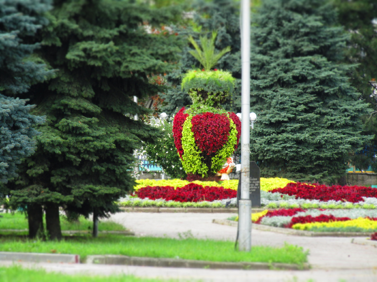 город встречает ананасами на клумбах 