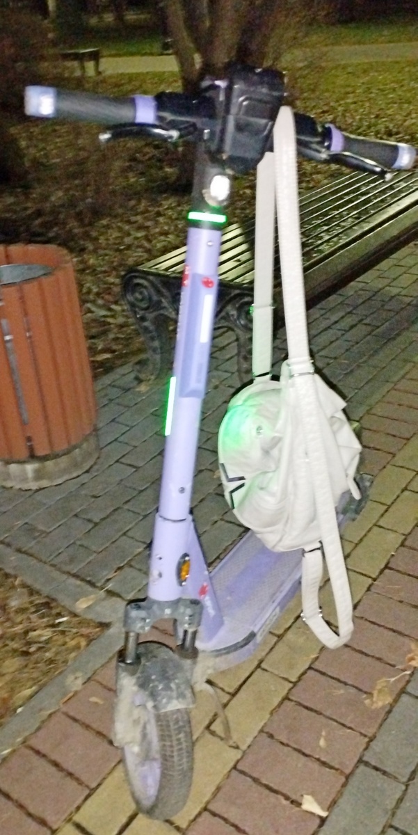 Это монтаж, самокаты я встречаю каждый день, сумка же весела единожды.