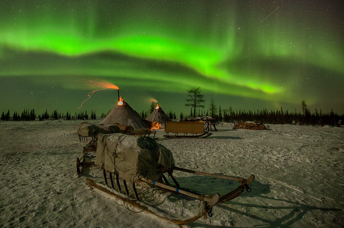 Фото из открытого интернет-источника 