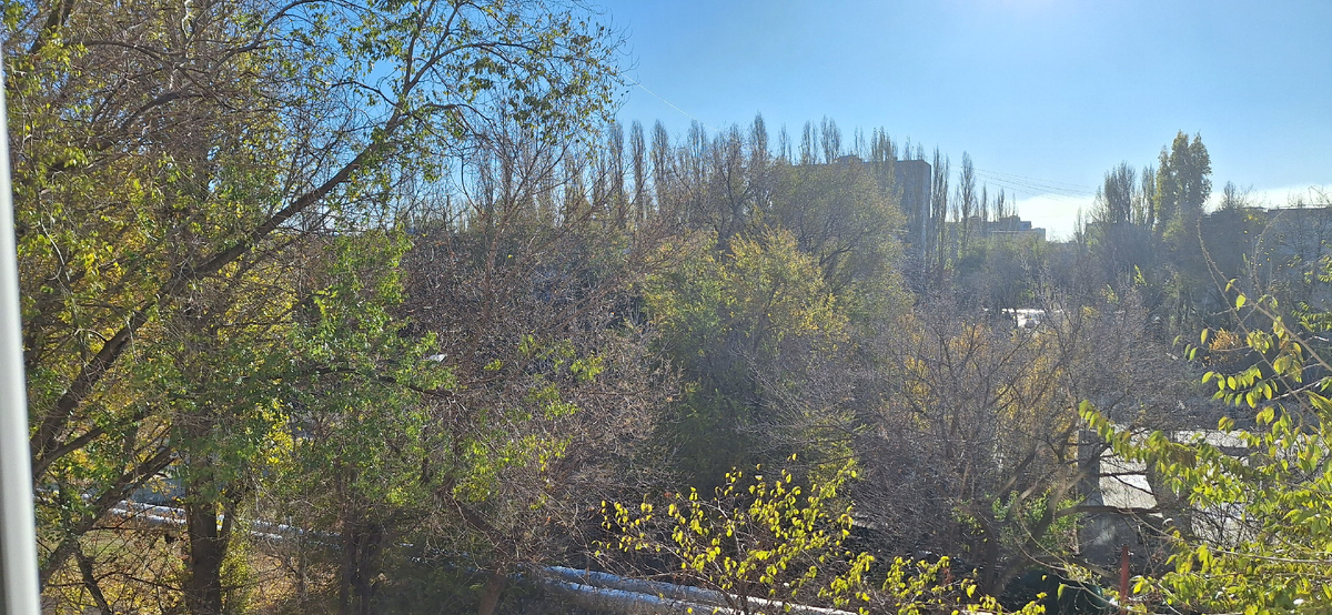 Сегодняшнее утро, вид из окна моего дома.
