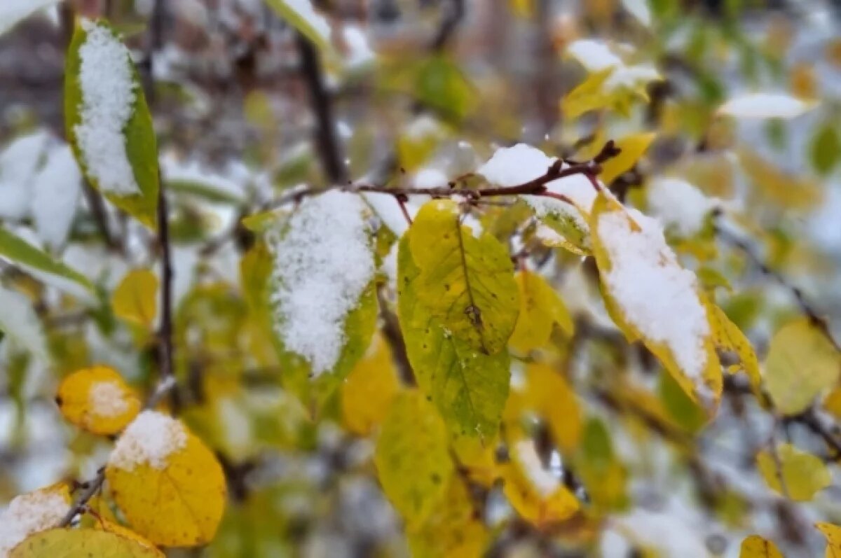    Штормовое предупреждение: непогода в Татарстане усилится