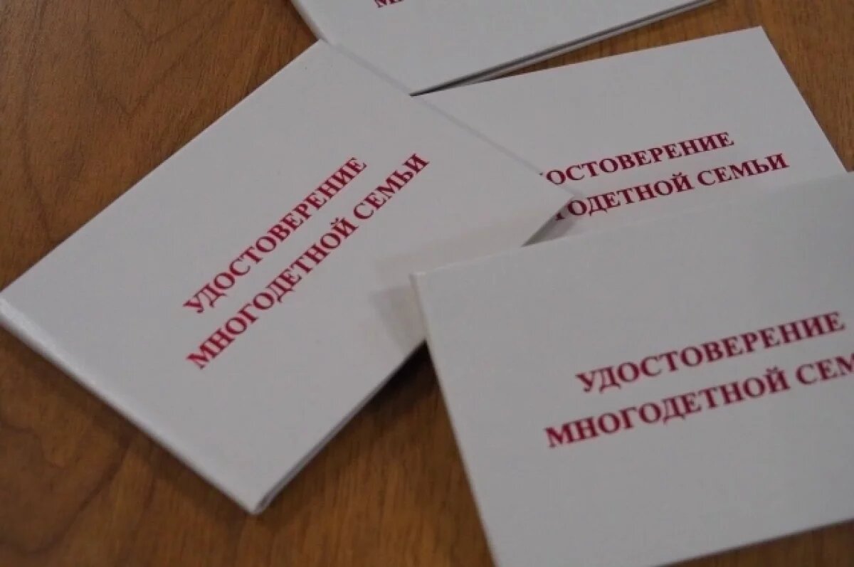    В Пензенской области начали выдавать новые удостоверения многодетным семьям