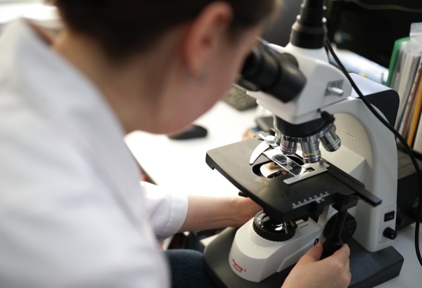 Фото: РИА Новости