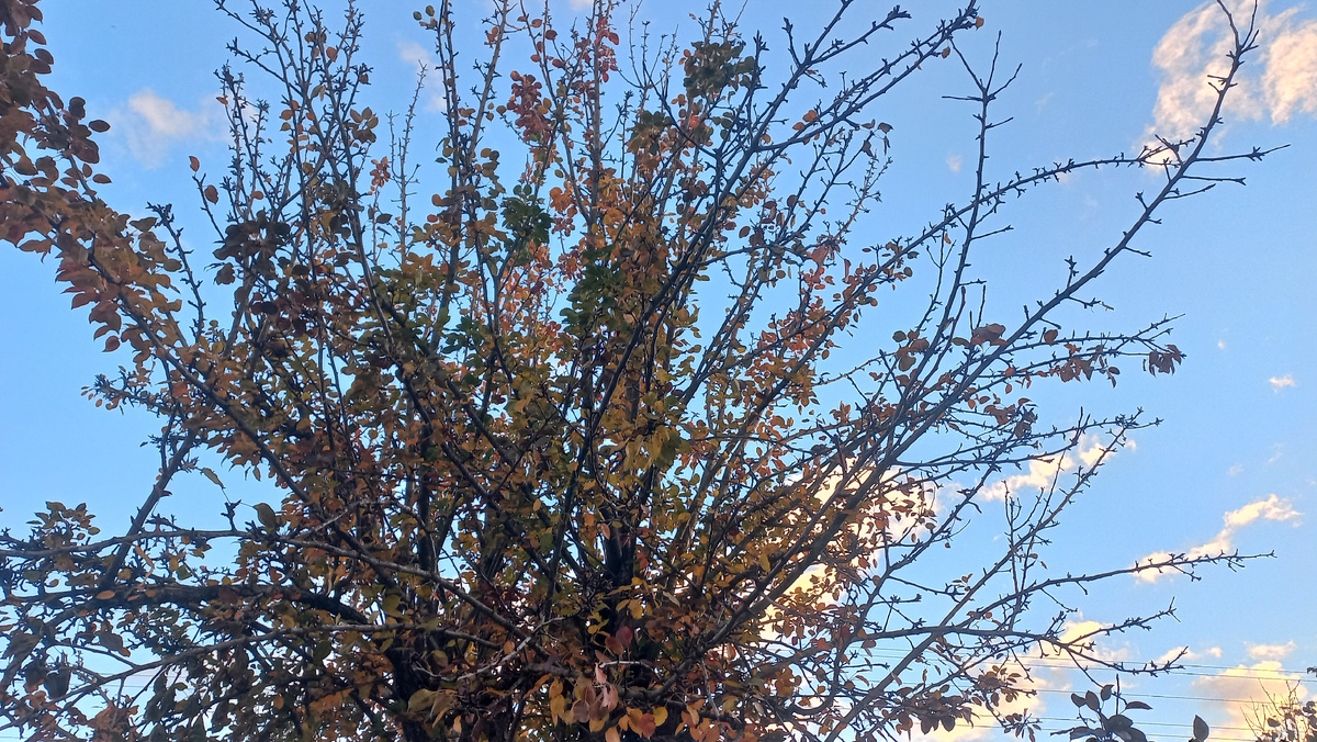 Это и другие фото в статье сделаны автором и принадлежат ему на условиях авторского права