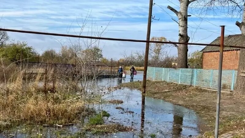     Источник: t.me/region_61_news