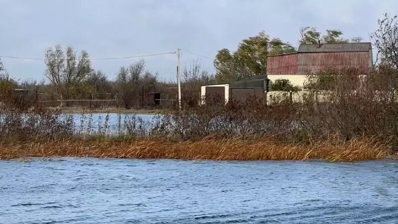     Источник: t.me/region_61_news