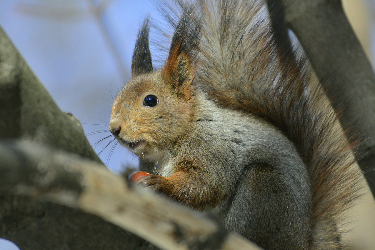 Pavel Kashaev, Павел Кашаев/Global Look Press