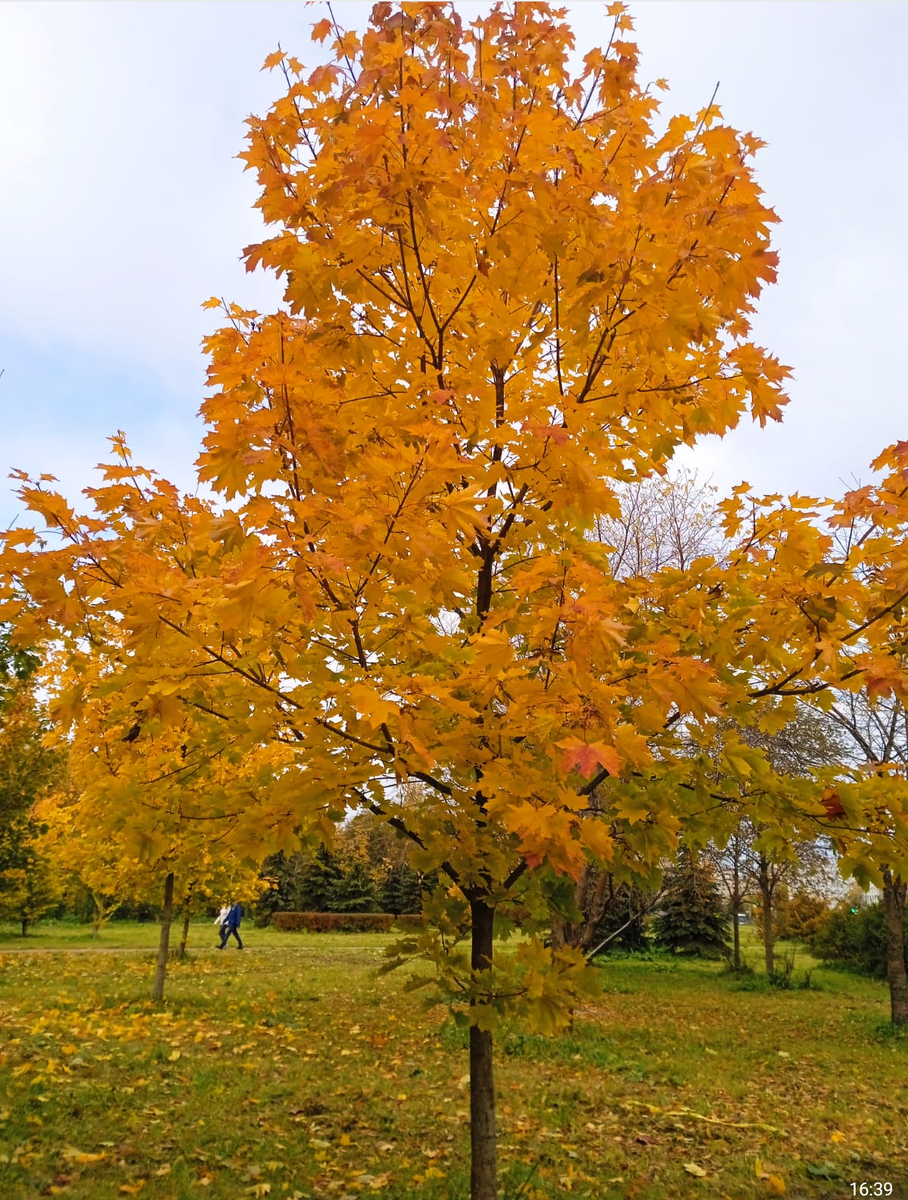 Просто фото