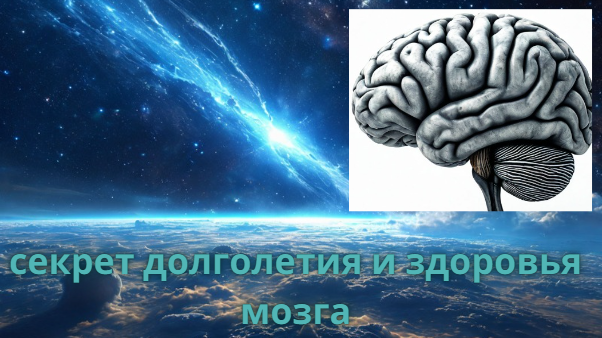 Два раза в неделю отказаться от завтрака – не проблема. Рекомендации основаны на исследованиях нейробиологов, которые считают, что прерывистое голодание омолаживает организм и продлевает жизнь. Оно благотворно влияет на мозг, снижая уровень сахара в крови, регулируя давление и усиливая метаболизм. 
Учёный, опробовавший систему на себе, пропускал завтрак и практиковал 16-часовые окна голодания. Он ел до 5 вечера, а потом пил только воду и чай. Это помогало ему концентрироваться и сохранять координацию во время сложных операций.

Своим пациентам нейрохирург рекомендует отказываться от завтрака не чаще двух раз в неделю с интервалом в три дня, чтобы предотвратить деменцию и потерю памяти.