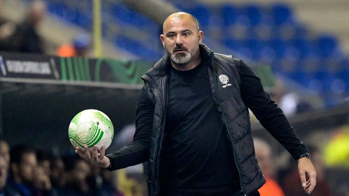 Д. Станкович