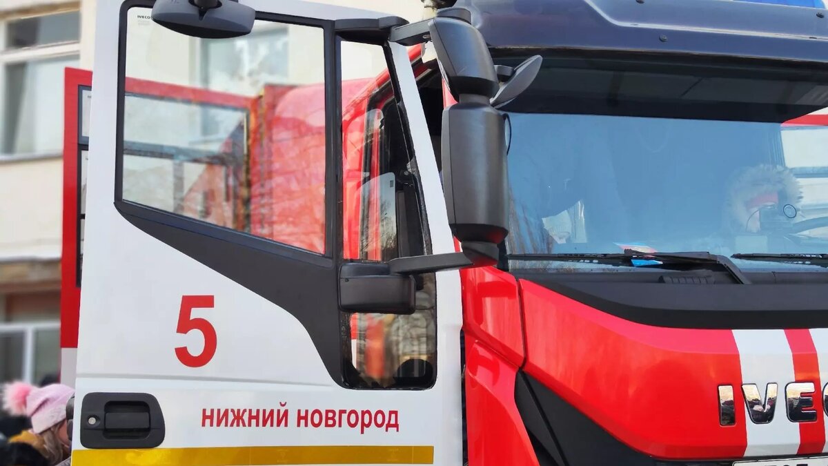     Источник: 1MI