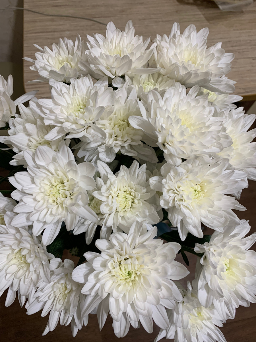 Извините, фото цветущего льна у меня нет😊