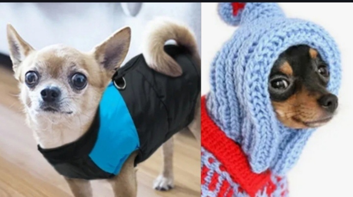 Фото из интернета 