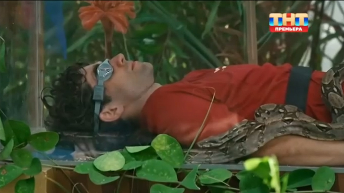 Игорь Цвирко в коробке со змеями. Фото: кадр шоу «Звезды в джунглях» 