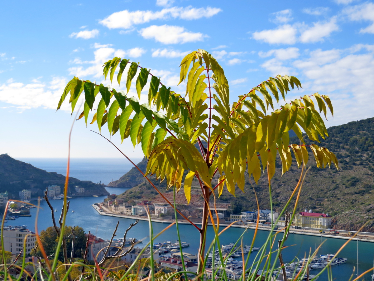 Листайте галерею