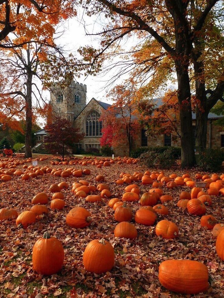 Позаимствовано на просторах интернета. 