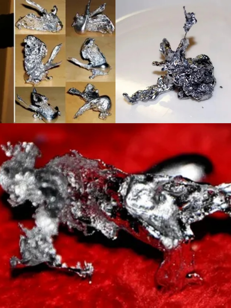 Фотоколлаж автора статьи 